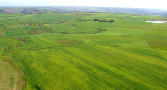 maroc-agriculture maroc-agriculture