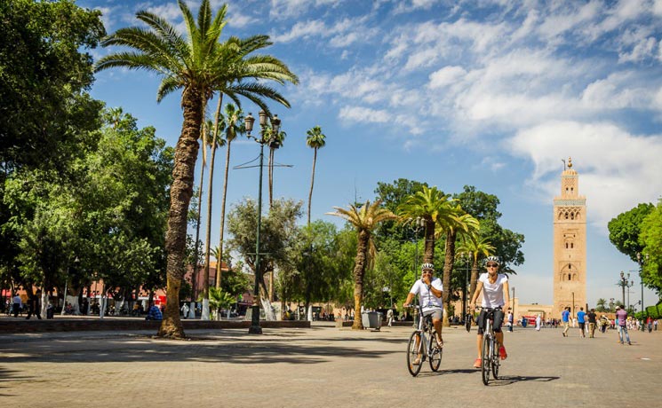 تقرير حول أنشطة المديرية الجهوية للتخطيط لجهة مراكش-آسفي لسنة 2018 تقرير حول أنشطة المديرية الجهوية للتخطيط لجهة مراكش-آسفي لسنة 2018