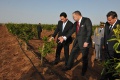 Province-de-Rhamna-Agriculture-G12 Province-de-Rhamna-Agriculture-G12