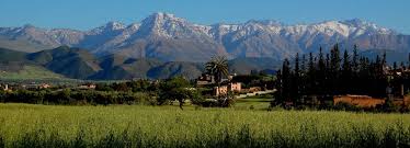 images (2) images (2)