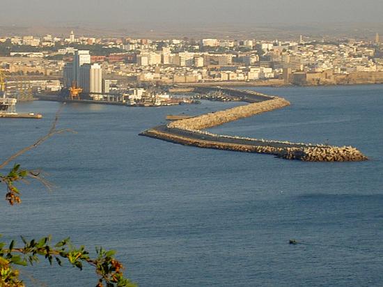 safi-daytime safi-daytime