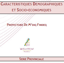 Série provinciale de la préfecture de M'diq-Fnideq  RGPH 2014