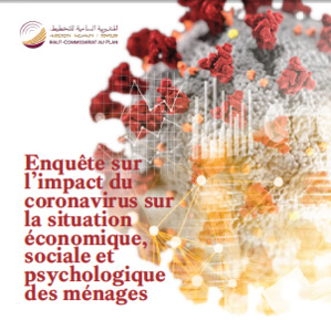 ENQUÊTE SUR L’IMPACT DU CORONAVIRUS SUR LA SITUATION ÉCONOMIQUE, SOCIALE ET PSYCHOLOGIQUE DES MÉNAGES : NOTE DE SYNTHÈSE DES PRINCIPAUX RÉSULTATS ENQUÊTE SUR L’IMPACT DU CORONAVIRUS SUR LA SITUATION ÉCONOMIQUE, SOCIALE ET PSYCHOLOGIQUE DES MÉNAGES : NOTE DE SYNTHÈSE DES PRINCIPAUX RÉSULTATS