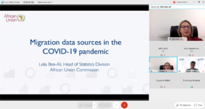 Webinaire sur «Les données de migration à l'époque du COVID-19: tendances et implications politiques en Afrique»