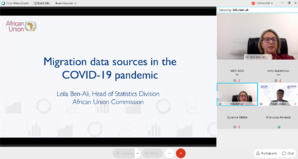 Webinaire sur «Les données de migration à l'époque du COVID-19: tendances et implications politiques en Afrique» Webinaire sur «Les données de migration à l'époque du COVID-19: tendances et implications politiques en Afrique»