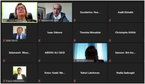 Réunion virtuelle du comité exécutif de la SHaSA2 Réunion virtuelle du comité exécutif de la SHaSA2