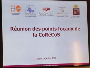 Base de données statistiques de Tanger (plan de renforcement des capacités des points focaux des partenaires régionaux) Base de données statistiques de Tanger (plan de renforcement des capacités des points focaux des partenaires régionaux)