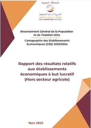 Cartographie des Établissements Économiques (CEE) 2023/2024 : Rapport des résultats relatifs aux établissements économiques à but lucratif (Hors secteur agricole), Mars 2025 Cartographie des Établissements Économiques (CEE) 2023/2024 : Rapport des résultats relatifs aux établissements économiques à but lucratif (Hors secteur agricole), Mars 2025