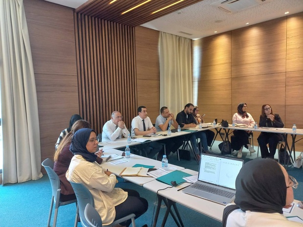  ورشة عمل لتقييم الهشاشة وإعداد مخطط للتكيف والتنمية أمام التغيرات المناخية الخاص بجهة طنجة تطوان الحسيمة